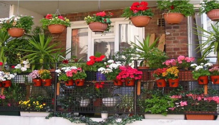 রান্নায় মরিচের গুঁড়া বেশি পড়ে গেলে যা যা করবেন