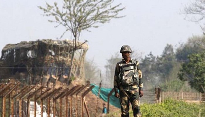 যে কারণে নিয়মিত খালি পেটে পেঁপে খাবেন